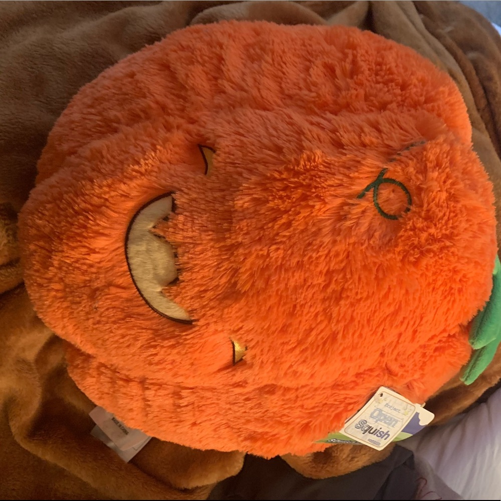 pumpkin squishable 🧡